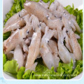 price of fresh frozen baby squid for wholesale
